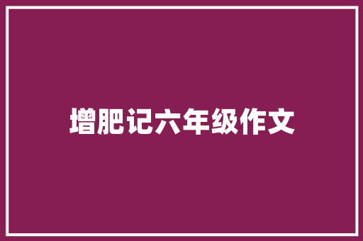 AI赋能教育12行代码背后的智慧与变革