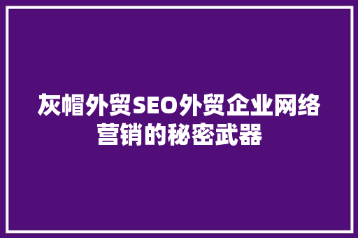 灰帽外贸SEO外贸企业网络营销的秘密武器