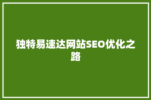 独特易速达网站SEO优化之路