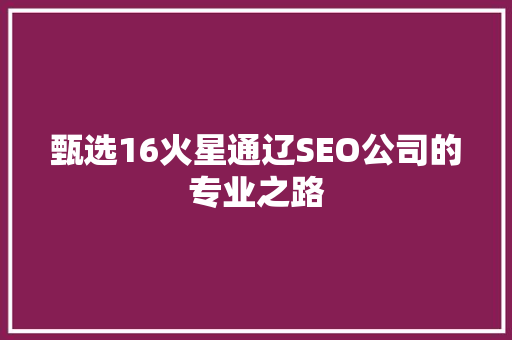 甄选16火星通辽SEO公司的专业之路