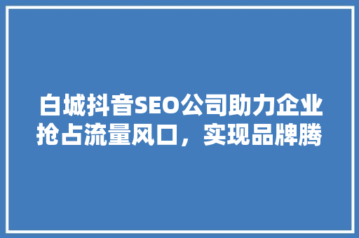 白城抖音SEO公司助力企业抢占流量风口，实现品牌腾飞