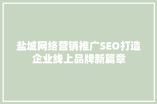 盐城网络营销推广SEO打造企业线上品牌新篇章