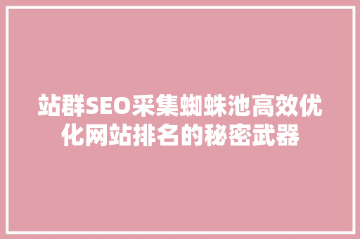 站群SEO采集蜘蛛池高效优化网站排名的秘密武器