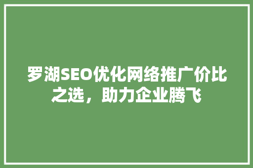 罗湖SEO优化网络推广价比之选，助力企业腾飞