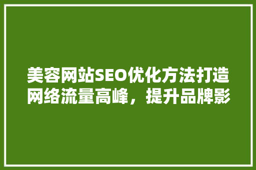 美容网站SEO优化方法打造网络流量高峰，提升品牌影响力