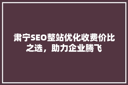 肃宁SEO整站优化收费价比之选，助力企业腾飞