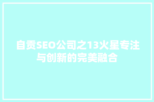 自贡SEO公司之13火星专注与创新的完美融合