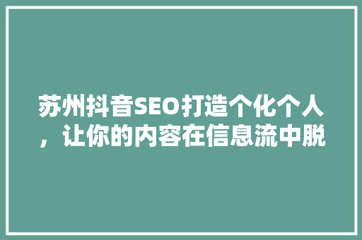 苏州抖音SEO打造个化个人，让你的内容在信息流中脱颖而出  第1张