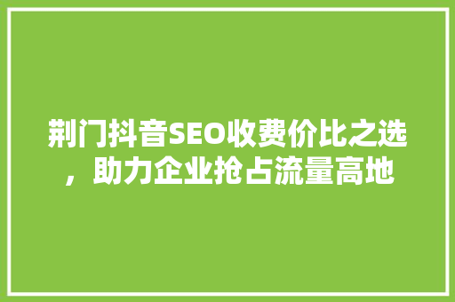 荆门抖音SEO收费价比之选，助力企业抢占流量高地