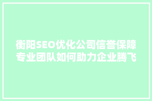 衡阳SEO优化公司信誉保障专业团队如何助力企业腾飞