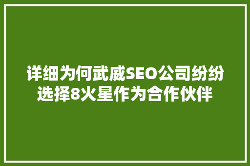 详细为何武威SEO公司纷纷选择8火星作为合作伙伴