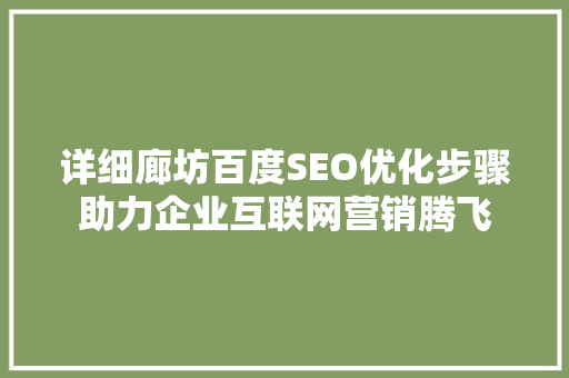 详细廊坊百度SEO优化步骤助力企业互联网营销腾飞