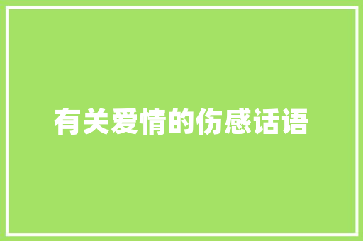 BIOS代码计算机启动的神秘之门