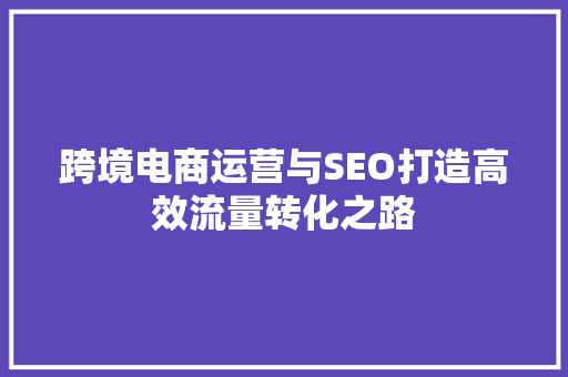 跨境电商运营与SEO打造高效流量转化之路