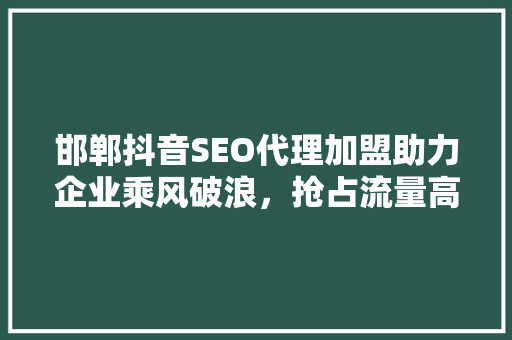 邯郸抖音SEO代理加盟助力企业乘风破浪，抢占流量高地