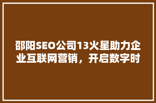 邵阳SEO公司13火星助力企业互联网营销，开启数字时代新篇章
