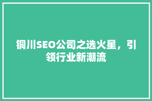 铜川SEO公司之选火星，引领行业新潮流