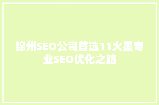 锦州SEO公司首选11火星专业SEO优化之路