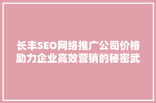 长丰SEO网络推广公司价格助力企业高效营销的秘密武器