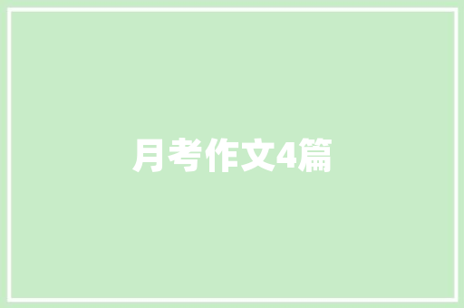CSOL代码表白一场技术与情感的交织之旅