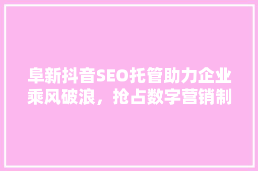 阜新抖音SEO托管助力企业乘风破浪，抢占数字营销制高点