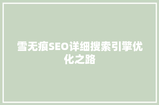 雪无痕SEO详细搜索引擎优化之路