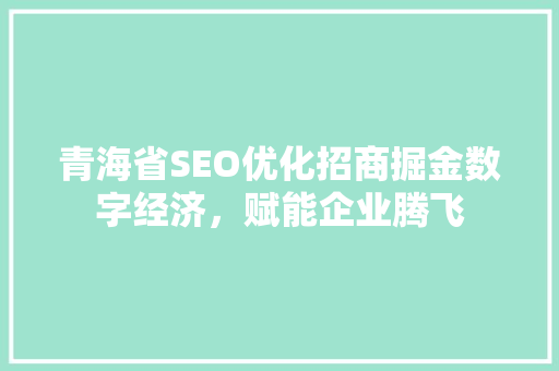 青海省SEO优化招商掘金数字经济，赋能企业腾飞
