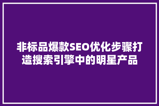 非标品爆款SEO优化步骤打造搜索引擎中的明星产品