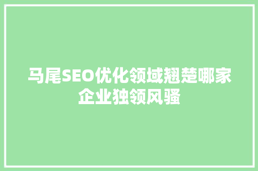 马尾SEO优化领域翘楚哪家企业独领风骚