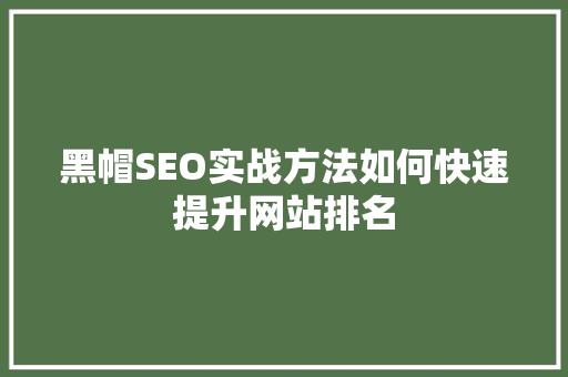 黑帽SEO实战方法如何快速提升网站排名