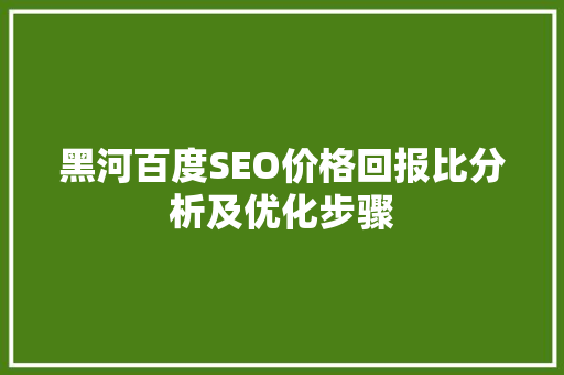 黑河百度SEO价格回报比分析及优化步骤