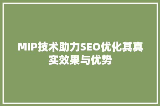 MIP技术助力SEO优化其真实效果与优势
