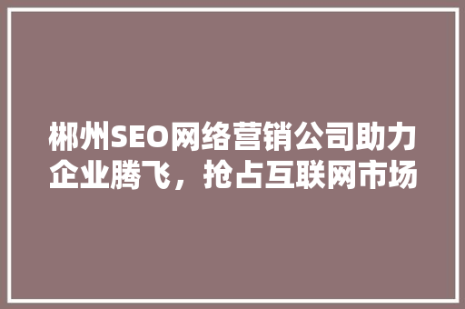 郴州SEO网络营销公司助力企业腾飞，抢占互联网市场制高点