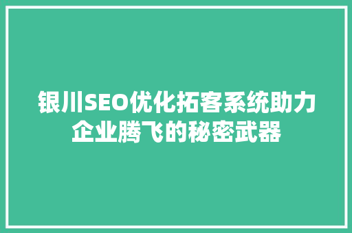 银川SEO优化拓客系统助力企业腾飞的秘密武器