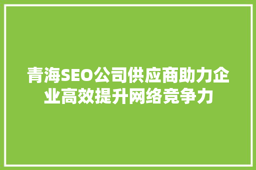 青海SEO公司供应商助力企业高效提升网络竞争力
