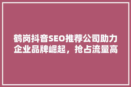 鹤岗抖音SEO推荐公司助力企业品牌崛起，抢占流量高地