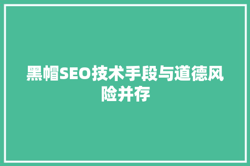 黑帽SEO技术手段与道德风险并存