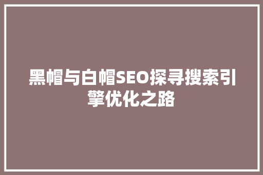 黑帽与白帽SEO探寻搜索引擎优化之路