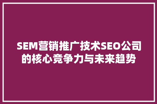 SEM营销推广技术SEO公司的核心竞争力与未来趋势