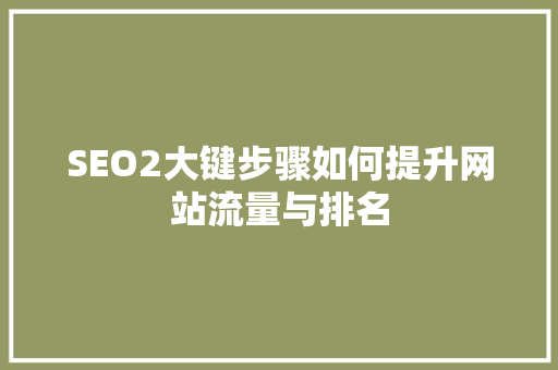 SEO2大键步骤如何提升网站流量与排名