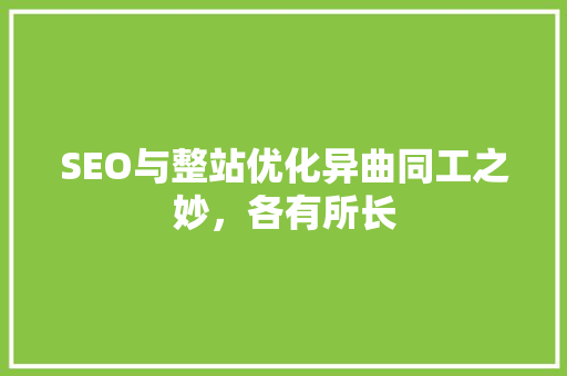 SEO与整站优化异曲同工之妙，各有所长