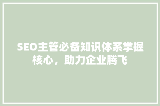 SEO主管必备知识体系掌握核心，助力企业腾飞