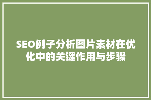 SEO例子分析图片素材在优化中的关键作用与步骤