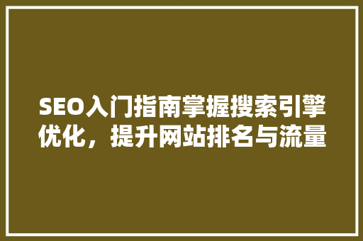 SEO入门指南掌握搜索引擎优化，提升网站排名与流量