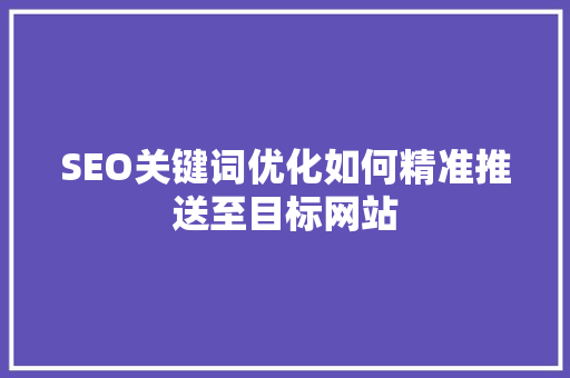 SEO关键词优化如何精准推送至目标网站  第1张