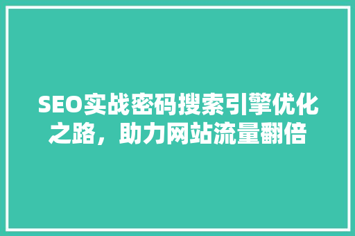 SEO实战密码搜索引擎优化之路，助力网站流量翻倍