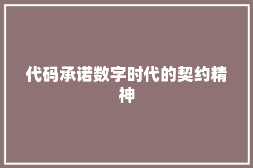 代码承诺数字时代的契约精神