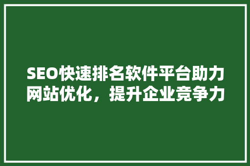 SEO快速排名软件平台助力网站优化，提升企业竞争力