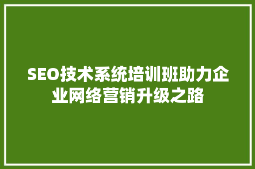 SEO技术系统培训班助力企业网络营销升级之路