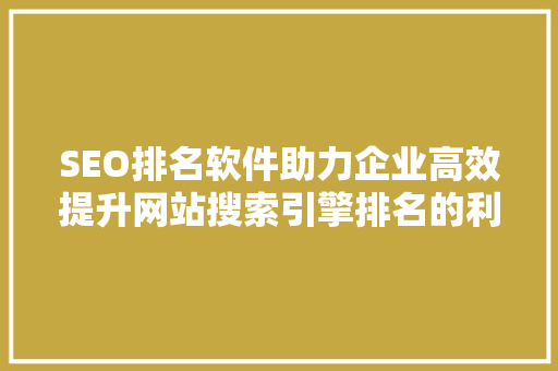 SEO排名软件助力企业高效提升网站搜索引擎排名的利器